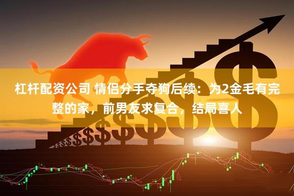杠杆配资公司 情侣分手夺狗后续：为2金毛有完整的家，前男友求复合，结局喜人